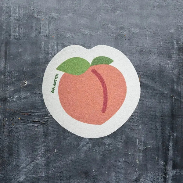 Éponge Pop-up - Pêche
